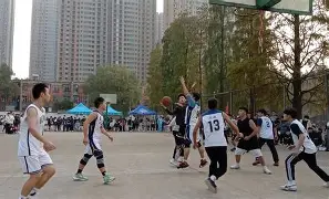 开云手机登录入口-黄金球阵容