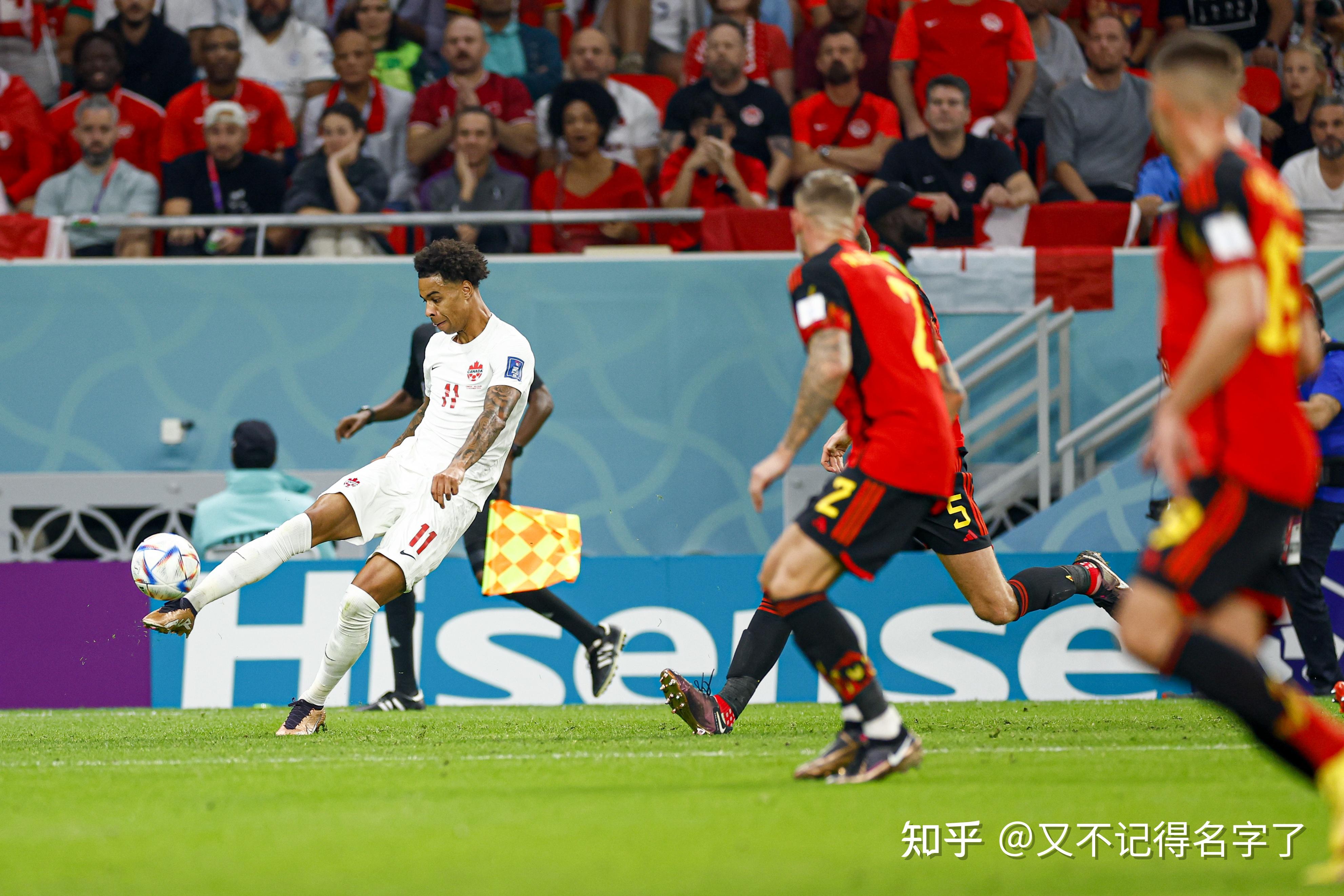 开云手机登录入口-比利时对威尔士欧洲杯