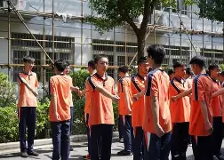 开云手机在线登陆-四川金强三队名单